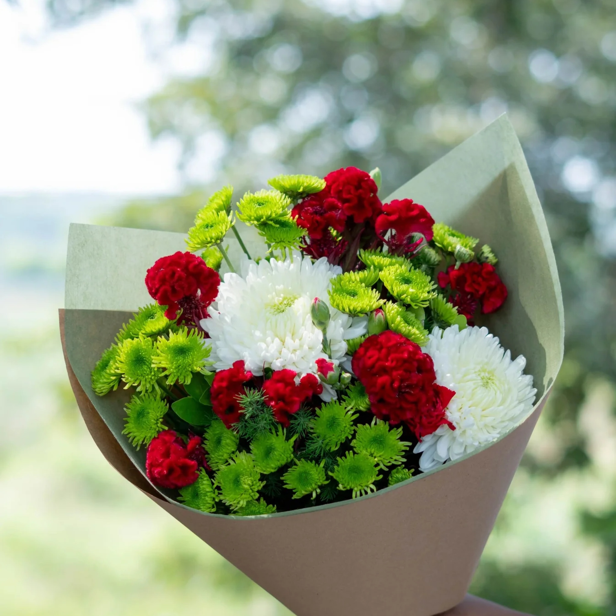 A Little Christmas Hug