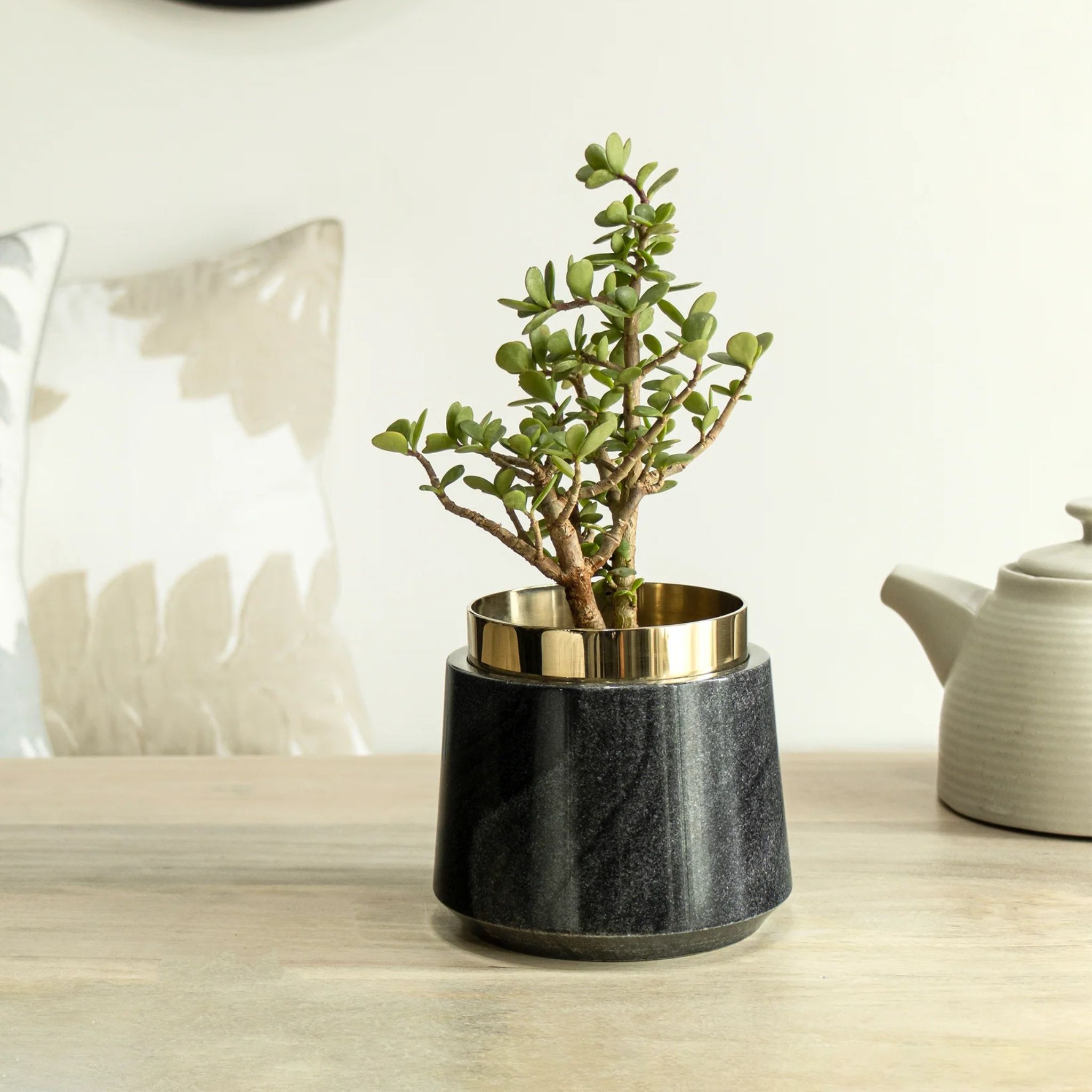 Oronoir Planter by Saswata | Tooffi
