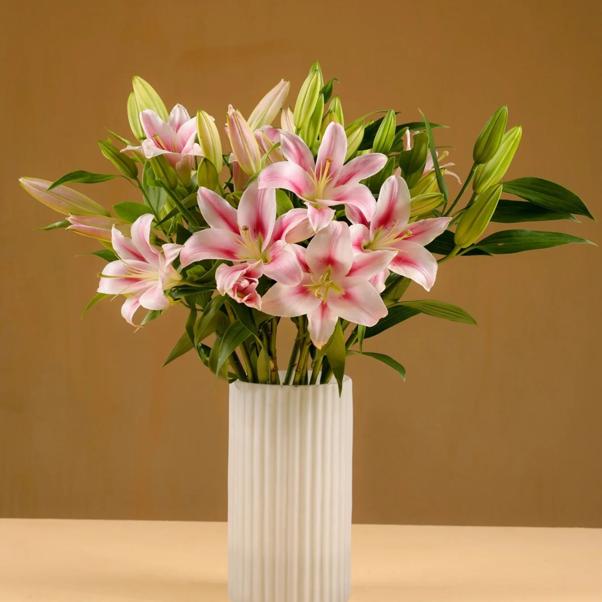 Oriental Lily