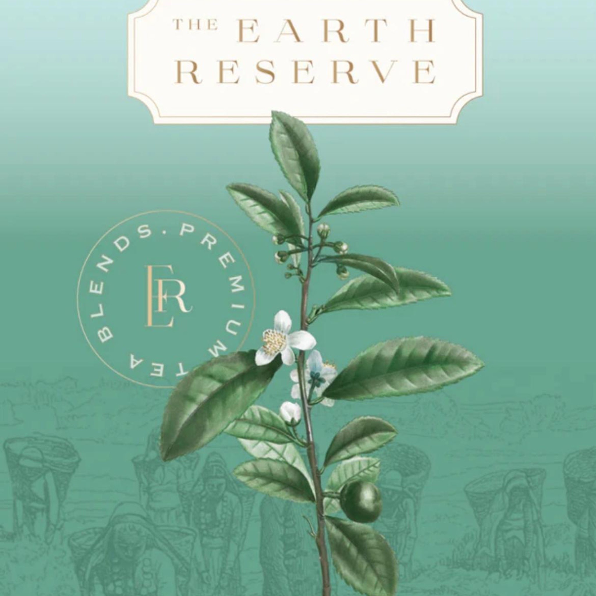 cover-2
